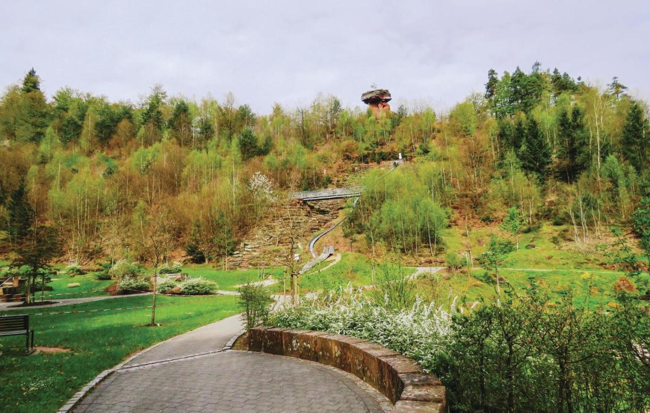 Cozy Apartment In Hinterweidenthal With Sauna Екстер'єр фото